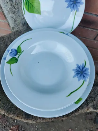 Set 6 piatti decorati fiori blu