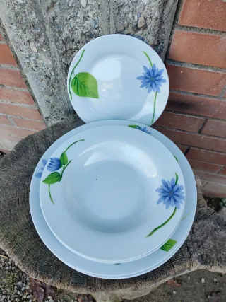 Set 6 piatti decorati fiori blu