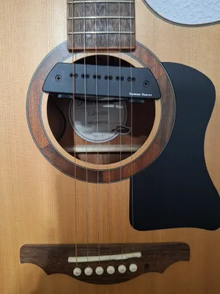 Guitarra Electroacústica HartWood Libretto