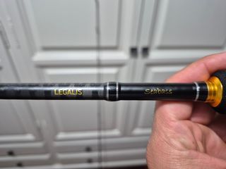 Caña de Spinning Daiwa Legalis Seabass 2,59m 5-21g