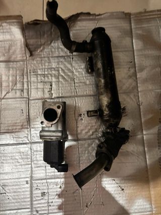 Válvula EGR Fiat Doblò 1.9 JTD 2007