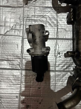 Válvula EGR Fiat Doblò 1.9 JTD 2007