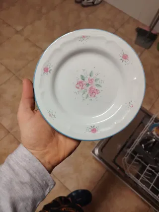 Platos antiguos porcelana rosas borde azul