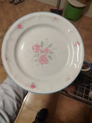 Platos antiguos porcelana rosas borde azul