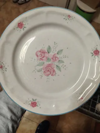 Platos antiguos porcelana rosas borde azul