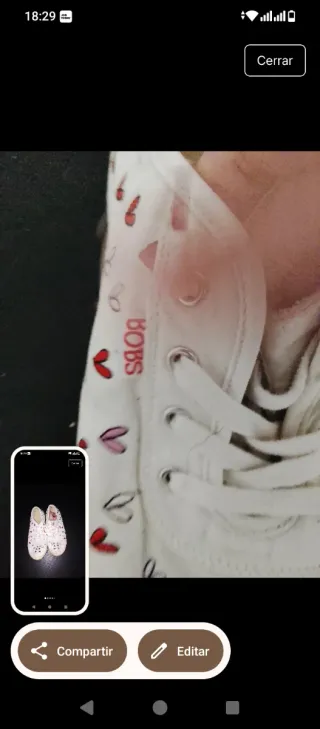 Skechers Bob's Bailarinas Corazones Talla 40