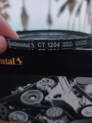 Correa aceite Continental CT 1204 1.6 TDI