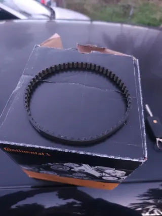 Correa aceite Continental CT 1204 1.6 TDI