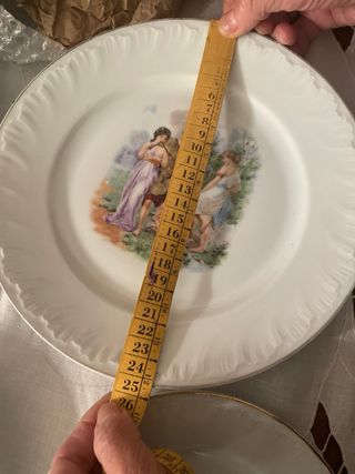 Set 8 Piatti Porcellana Boemia Decorati