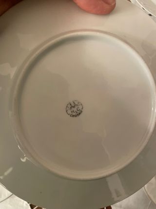 Set 8 Piatti Porcellana Boemia Decorati