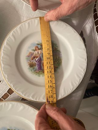 Set 8 Piatti Porcellana Boemia Decorati