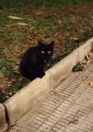 Masaje Cuantico Benidorm  Calle Júpiter 4