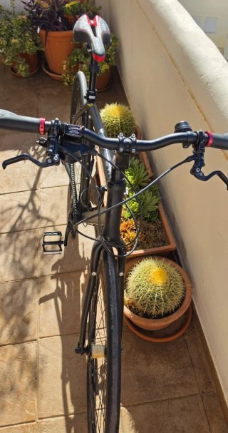 Bicicleta Orbea Orca transmisión Shimano Alfine 11