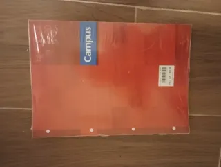 Recambio A4 100 hojas cuadriculado.