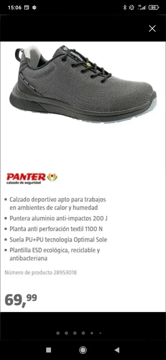 Zapatos de seguridad Panter grises .