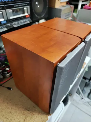 Altavoces Kenwood LS-M505 Marrones y Plateados