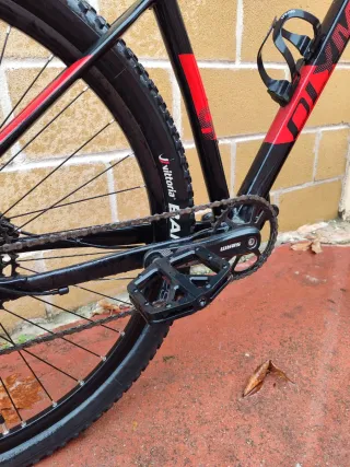 Bici Olympia Drake Race SXE 29