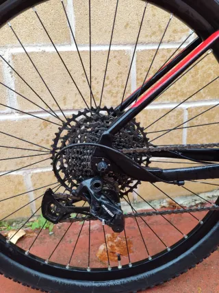 Bici Olympia Drake Race SXE 29