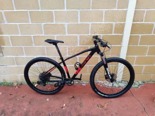 Bici Olympia Drake Race SXE 29