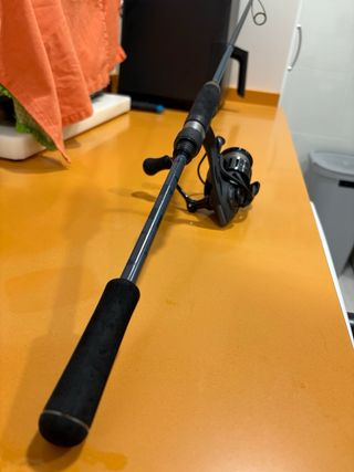 Caña y carrete de pesca spinning