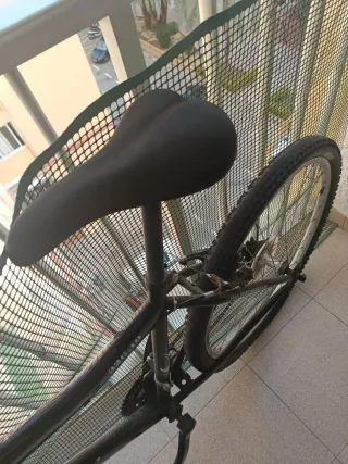 Bicicleta de montaña, entrega en Valencia