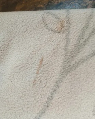 Manta Manterol Vintage Floral coperta cobertor