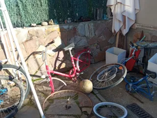 Lote bicicletas varias