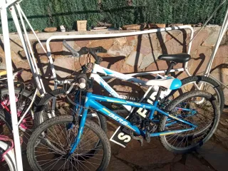 Lote bicicletas varias
