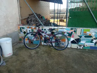 Lote bicicletas varias
