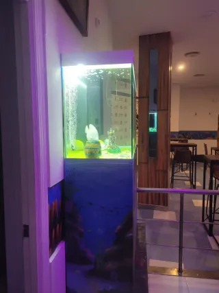 Pecera Acuario grande con mueble a juego