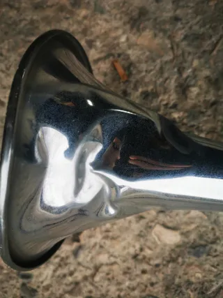 Bocina Trompeta Aire Cromada