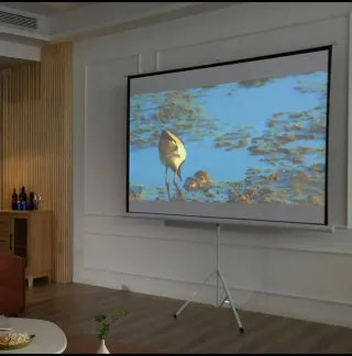 Pantalla de proyección portátil