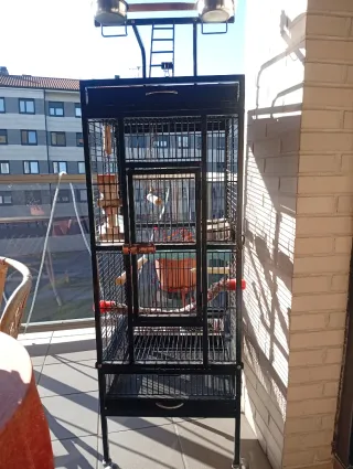 Jaula para loro grande