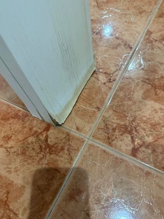 Mesa de salón extensible, color andersen pino