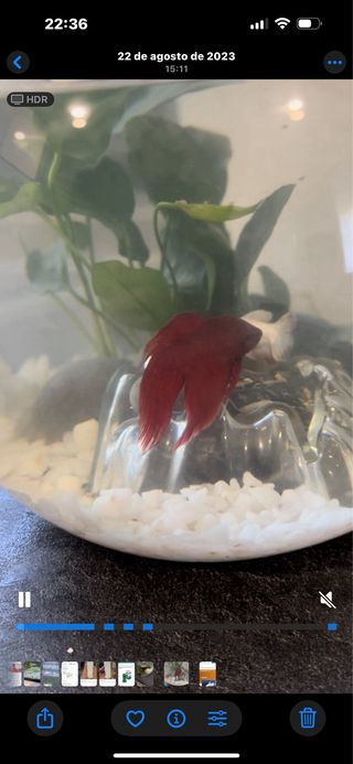 Cuidadora de animales.