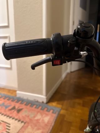 Bicicleta Eléctrica Infantil 110W 24V