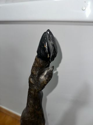 Tirador Cerveza Jamón Pata Negra Bronce