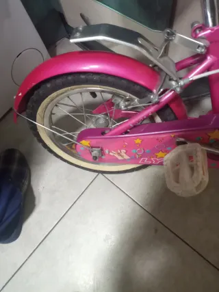 Bicicleta Infantil Lidia 4-6 años