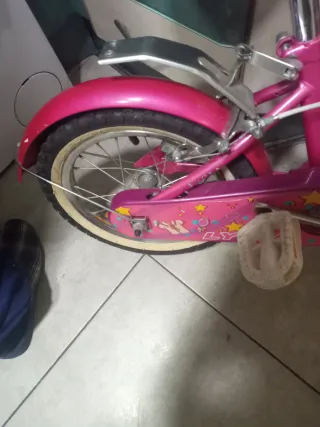 Bicicleta Infantil Lidia 4-6 años