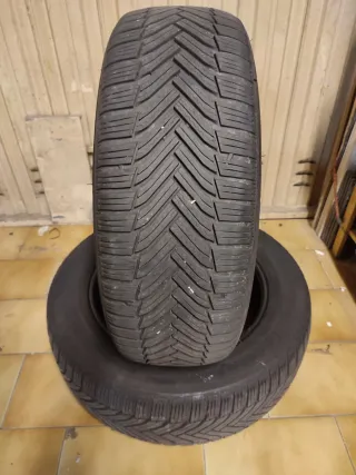 Michelin Alpine 225 55 17