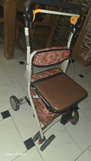 Andador Plegable Carro de Compras