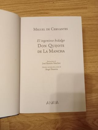 El ingenioso hidalgo don Quijote de La Mancha (...