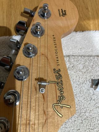 Fender Stratocaster Player Series Pau Ferro