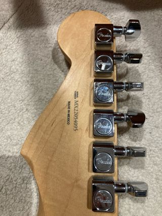 Fender Stratocaster Player Series Pau Ferro