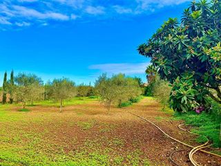 Casa rural en alquiler en Porreres