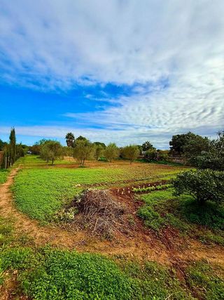 Casa rural en alquiler en Porreres