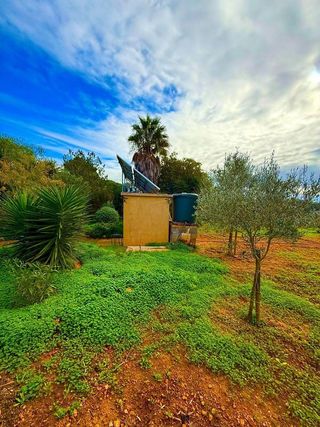 Casa rural en alquiler en Porreres