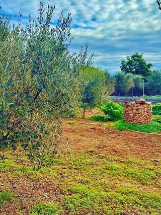 Casa rural en alquiler en Porreres