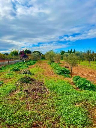Casa rural en alquiler en Porreres