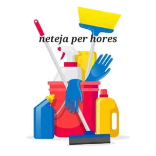 Neteja per hores experiencia i referències